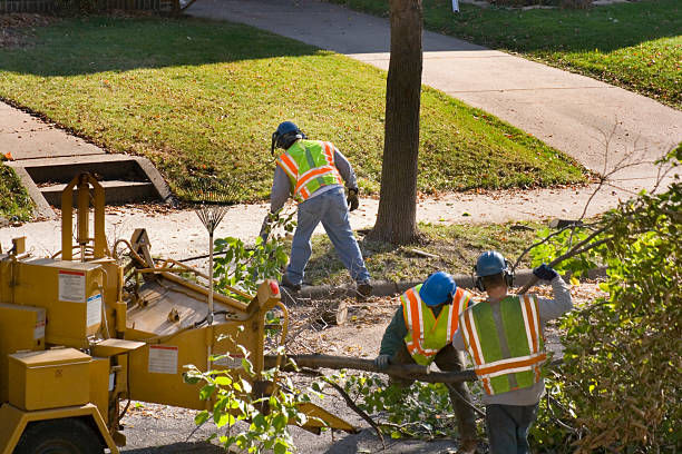 Best Leaf Removal  in Fredericktown, OH